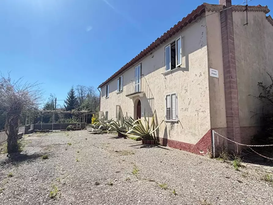 Immagine 14 di Casa indipendente in vendita  in CONTRADA viterale a Serrastretta