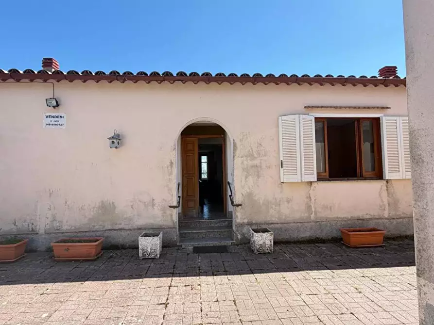 Immagine 18 di Casa indipendente in vendita  in CONTRADA viterale a Serrastretta