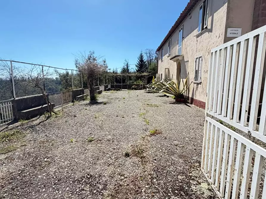 Immagine 2 di Casa indipendente in vendita  in CONTRADA viterale a Serrastretta