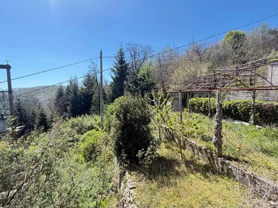 Immagine 3 di Casa indipendente in vendita  in CONTRADA viterale a Serrastretta