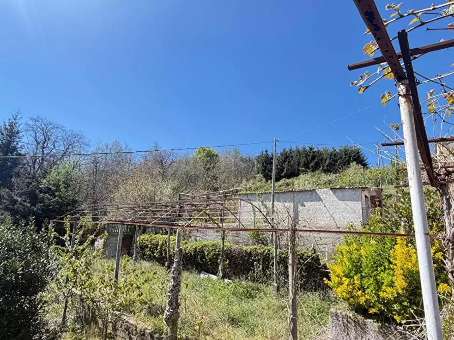 Immagine 4 di Casa indipendente in vendita  in CONTRADA viterale a Serrastretta