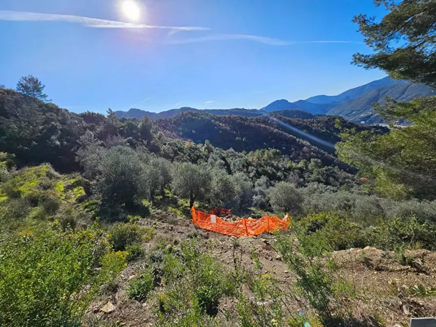 Immagine 8 di Terreno residenziale in vendita  in LOCALITA'frazione verrandi a Ventimiglia
