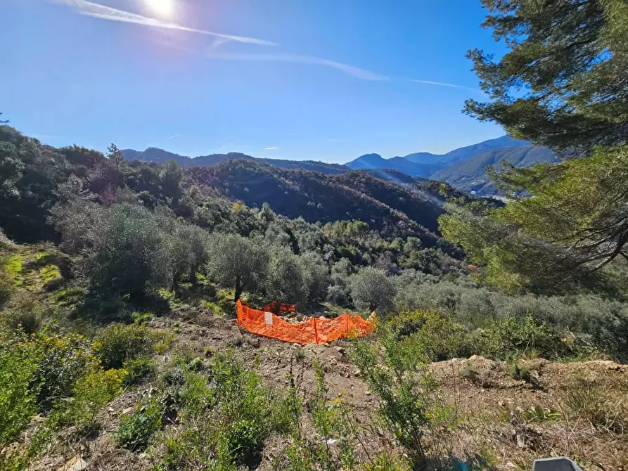 Immagine 9 di Terreno residenziale in vendita  in LOCALITA'frazione verrandi a Ventimiglia