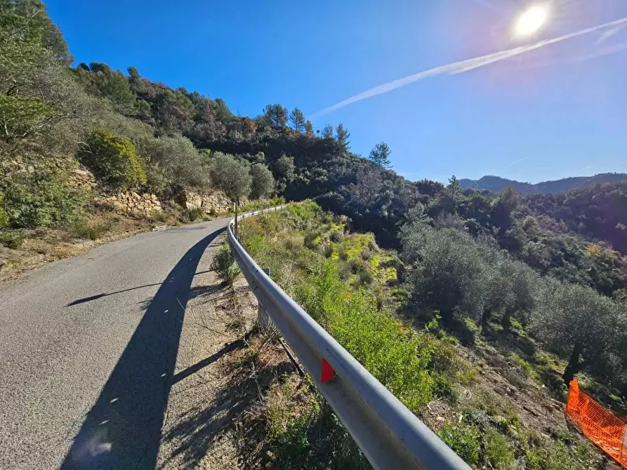 Immagine 6 di Terreno residenziale in vendita  in LOCALITA'frazione verrandi a Ventimiglia