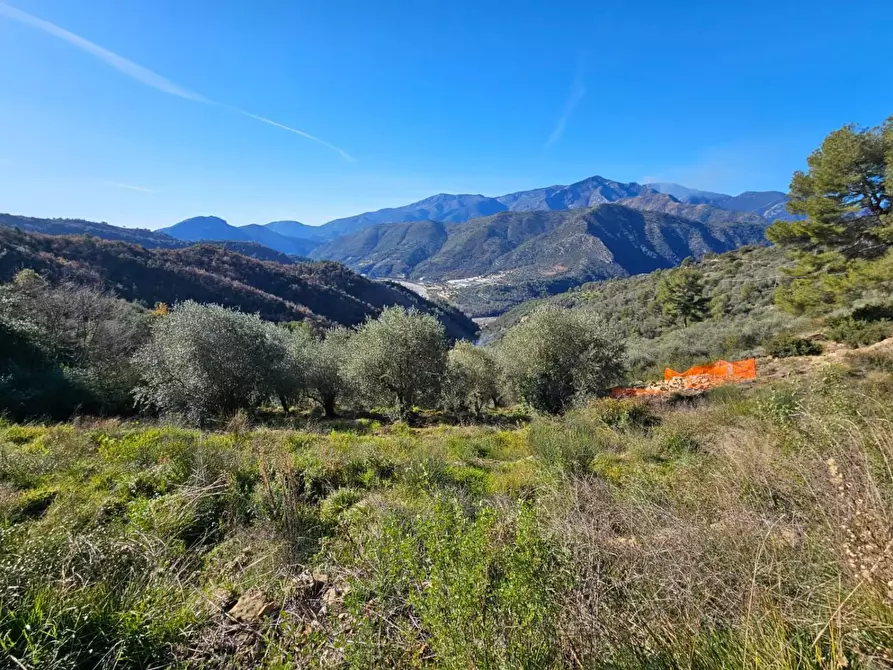 Immagine 5 di Terreno residenziale in vendita  in LOCALITA'frazione verrandi a Ventimiglia