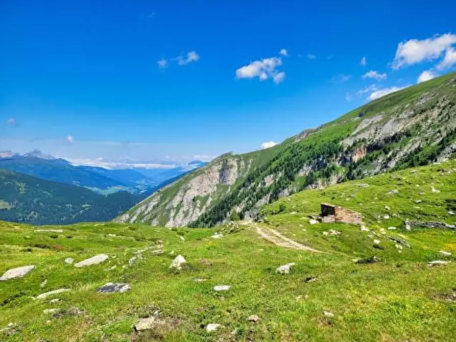 Immagine 2 di Rustico / casale in vendita  in Brennero a Brennero .Brenner.