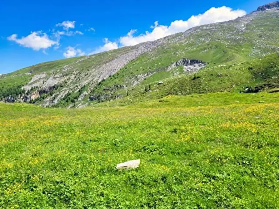 Immagine 3 di Rustico / casale in vendita  in Brennero a Brennero .Brenner.