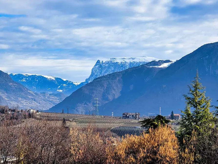 Immagine 19 di Appartamento in vendita  in VIA a Appiano Sulla Strada Del Vino .Eppan An Der.