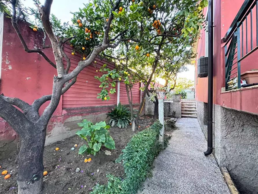 Immagine 19 di Casa indipendente in vendita  in CORSO Umberto a Montesilvano