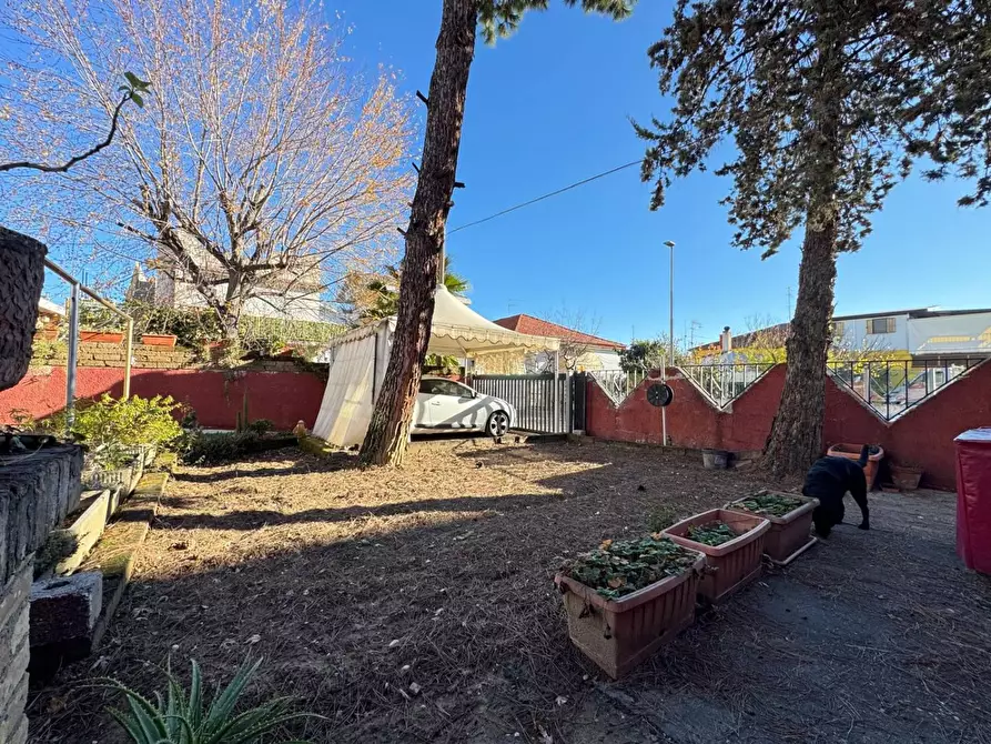 Immagine 27 di Casa indipendente in vendita  in CORSO Umberto a Montesilvano