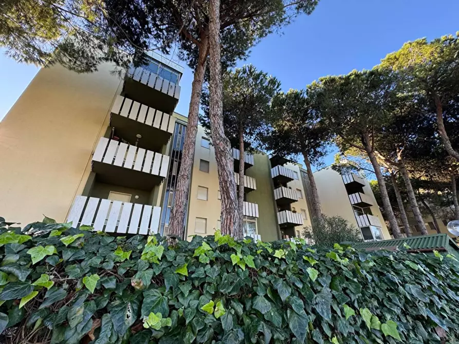 Immagine 16 di Appartamento in vendita  in VIALE Reno a Silvi