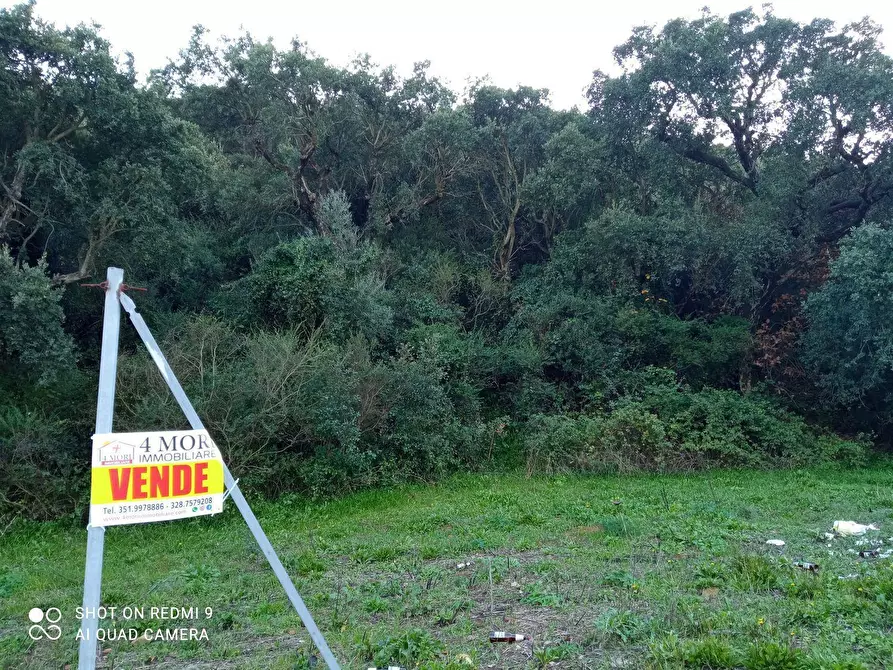 terreno agricolo in vendita ad Iglesias