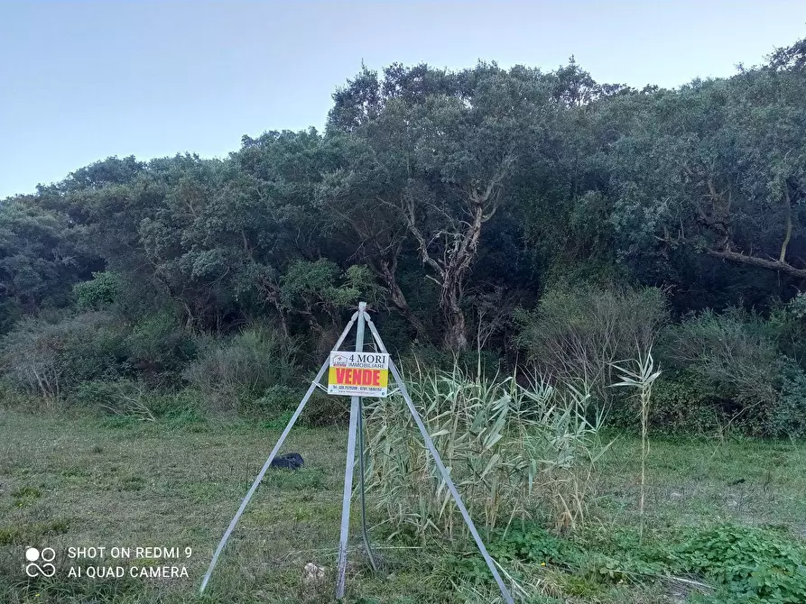 Immagine 3 di Terreno agricolo in vendita  in SP84 2 a Iglesias