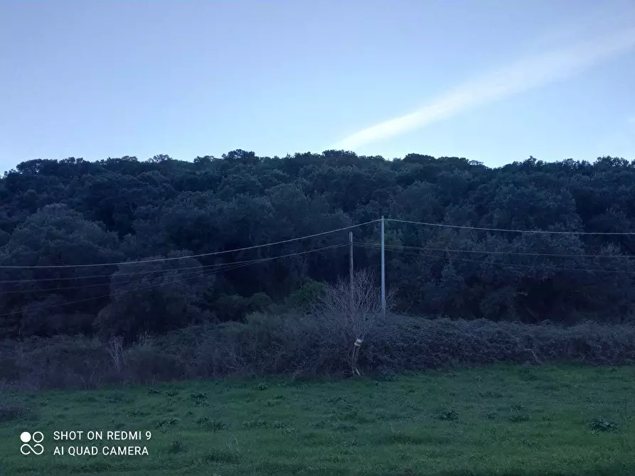 Immagine 4 di Terreno agricolo in vendita  in SP84 2 a Iglesias