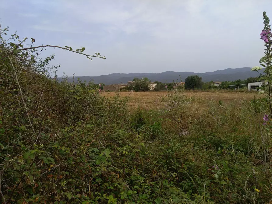 Immagine 2 di Terreno residenziale in vendita  in Is Pinnas 0 a Nuxis