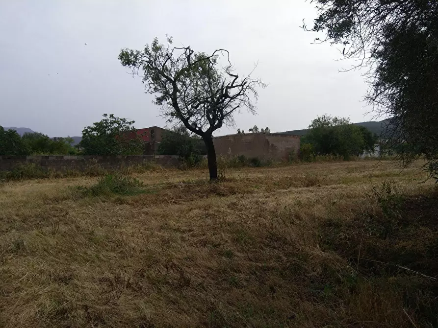 Immagine 4 di Terreno residenziale in vendita  in Is Pinnas 0 a Nuxis