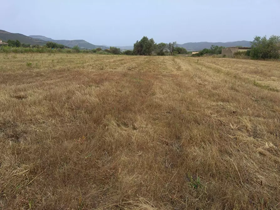 Immagine 5 di Terreno residenziale in vendita  in Is Pinnas 0 a Nuxis