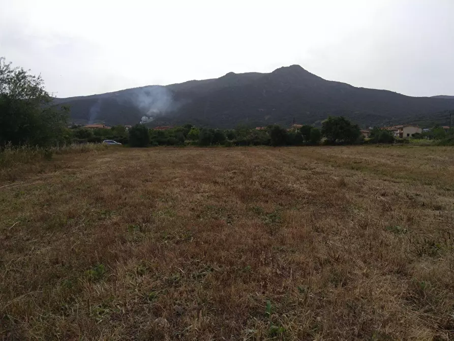 Immagine 3 di Terreno residenziale in vendita  in Is Pinnas 0 a Nuxis