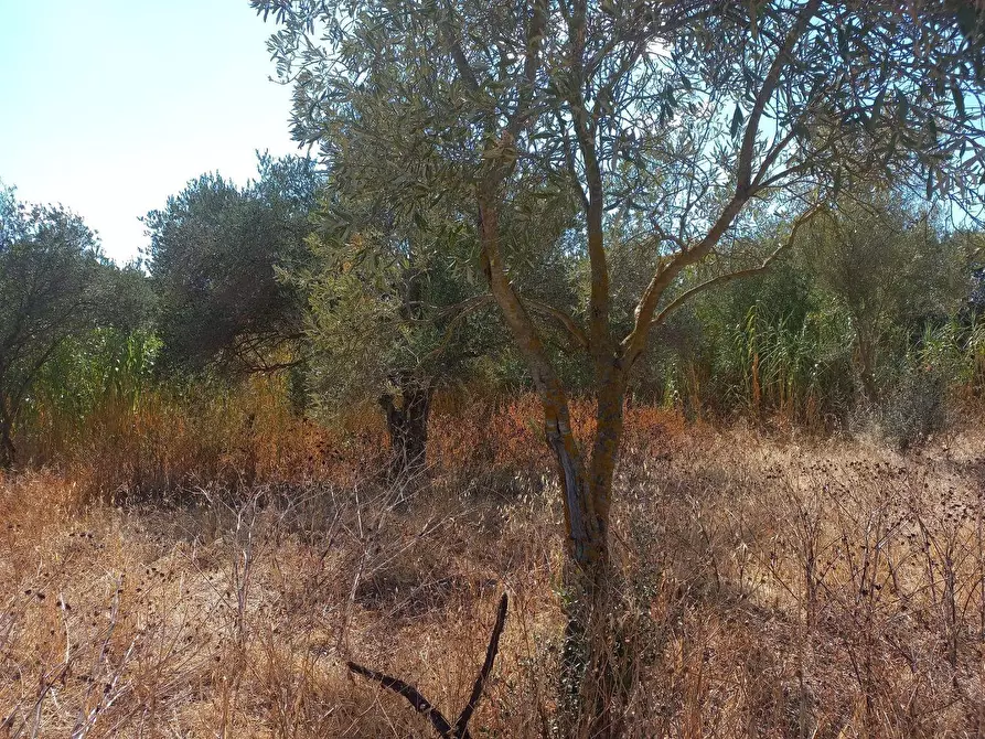 Immagine 9 di Terreno residenziale in vendita  in Barrancu Mannu 0 a Santadi