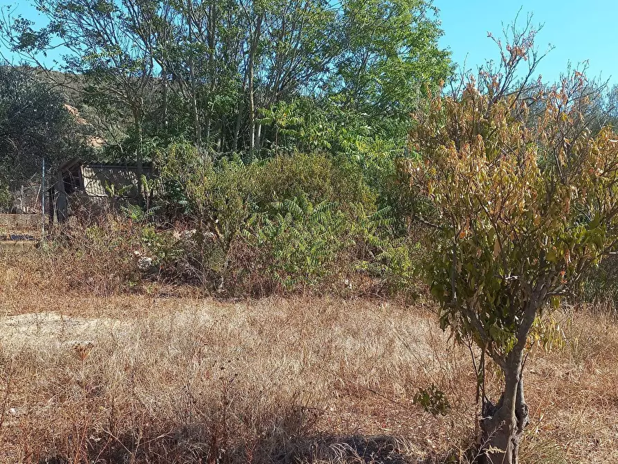 Immagine 3 di Terreno residenziale in vendita  in Barrancu Mannu 0 a Santadi