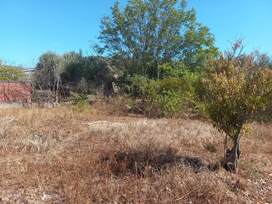 Immagine 6 di Terreno residenziale in vendita  in Barrancu Mannu 0 a Santadi