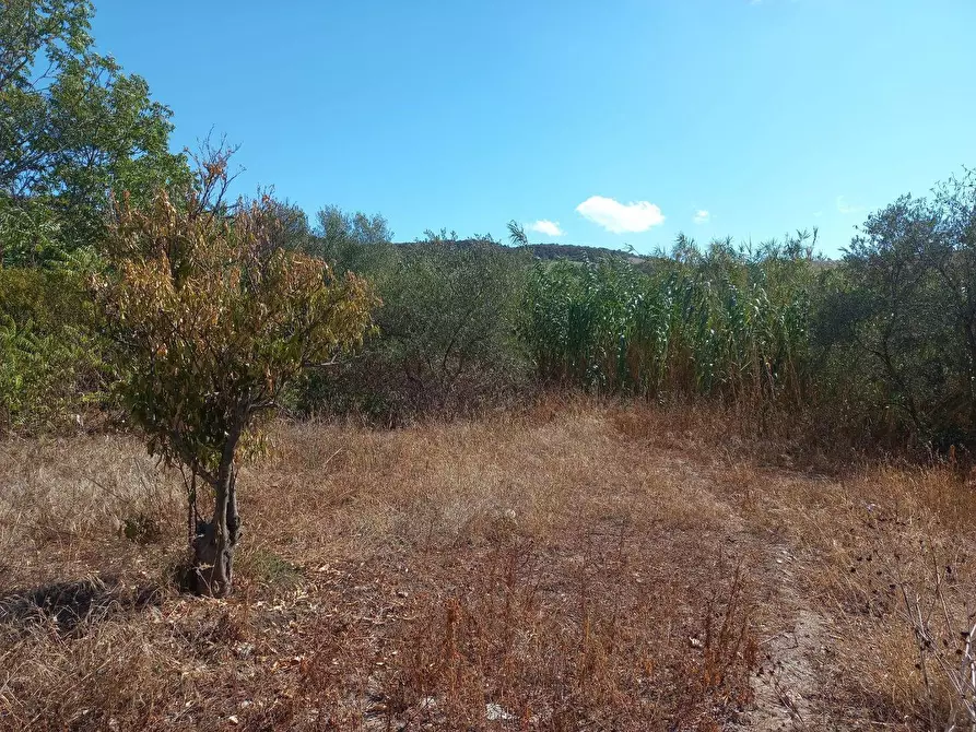 Immagine 7 di Terreno residenziale in vendita  in Barrancu Mannu 0 a Santadi