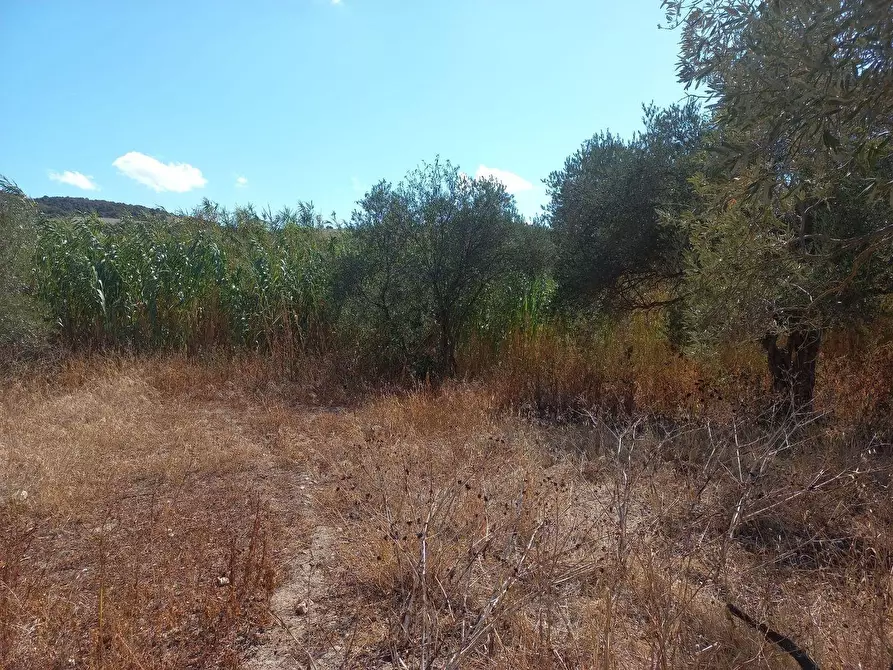 Immagine 8 di Terreno residenziale in vendita  in Barrancu Mannu 0 a Santadi