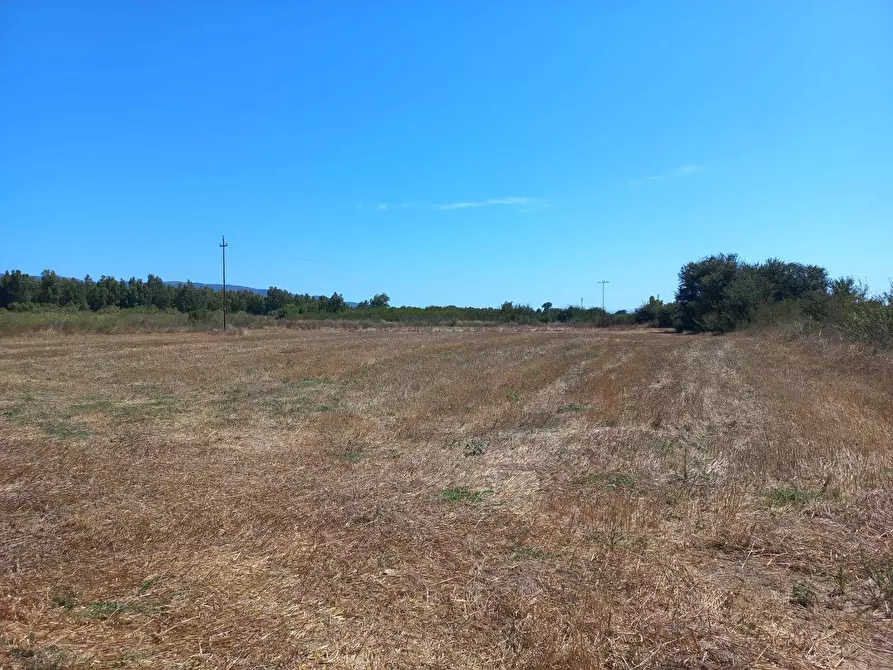 Immagine 2 di Terreno agricolo in vendita  in Tuerra Manna 0 a Villamassargia
