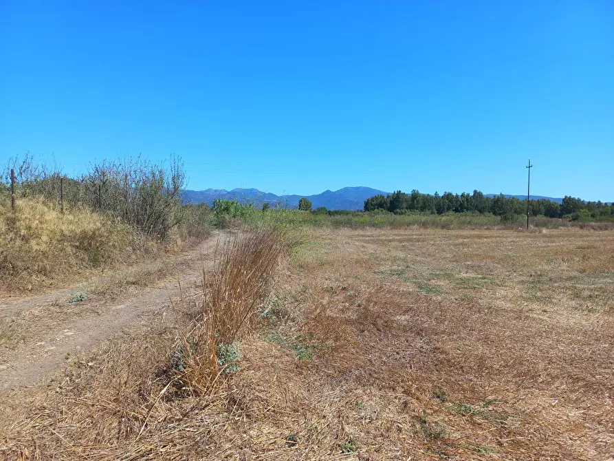 Immagine 4 di Terreno agricolo in vendita  in Tuerra Manna 0 a Villamassargia