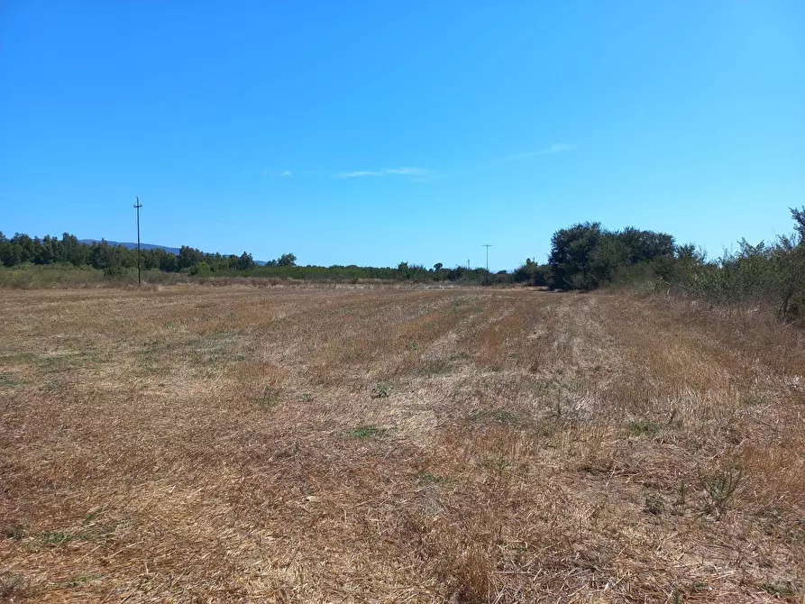 Immagine 5 di Terreno agricolo in vendita  in Tuerra Manna 0 a Villamassargia