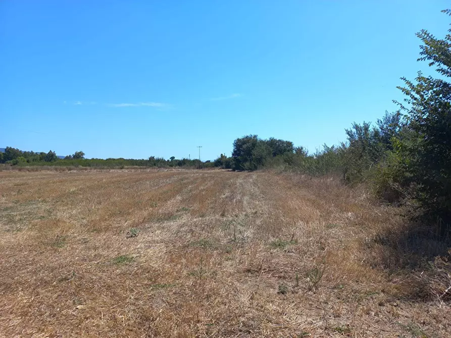 Immagine 3 di Terreno agricolo in vendita  in Tuerra Manna 0 a Villamassargia