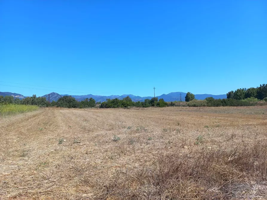 Immagine 5 di Terreno agricolo in vendita  in provinciale 0 a Villamassargia