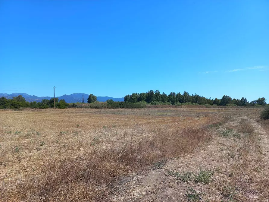Immagine 6 di Terreno agricolo in vendita  in provinciale 0 a Villamassargia