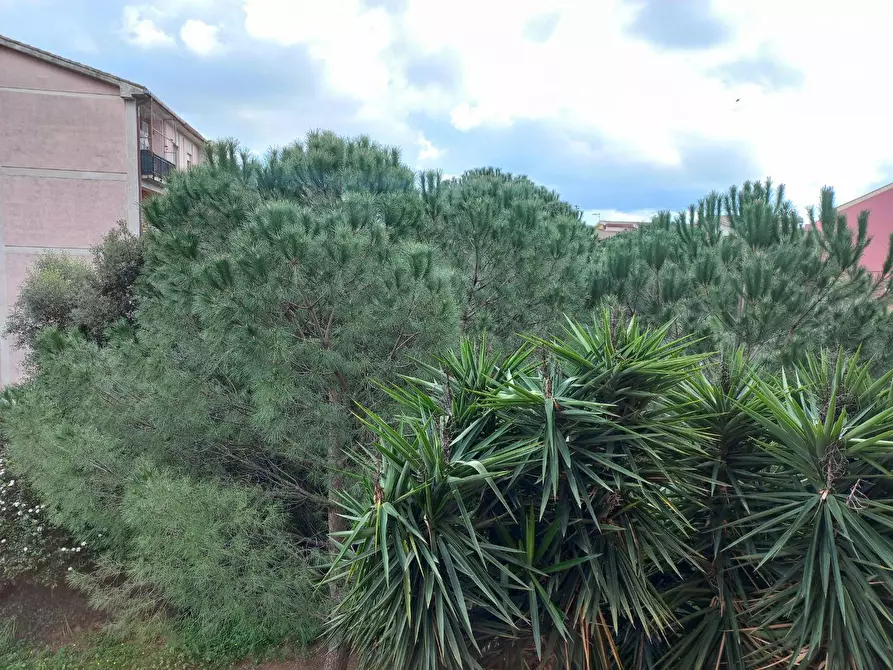 Immagine 17 di Appartamento in vendita  in Alessandro Volta 0 a Iglesias