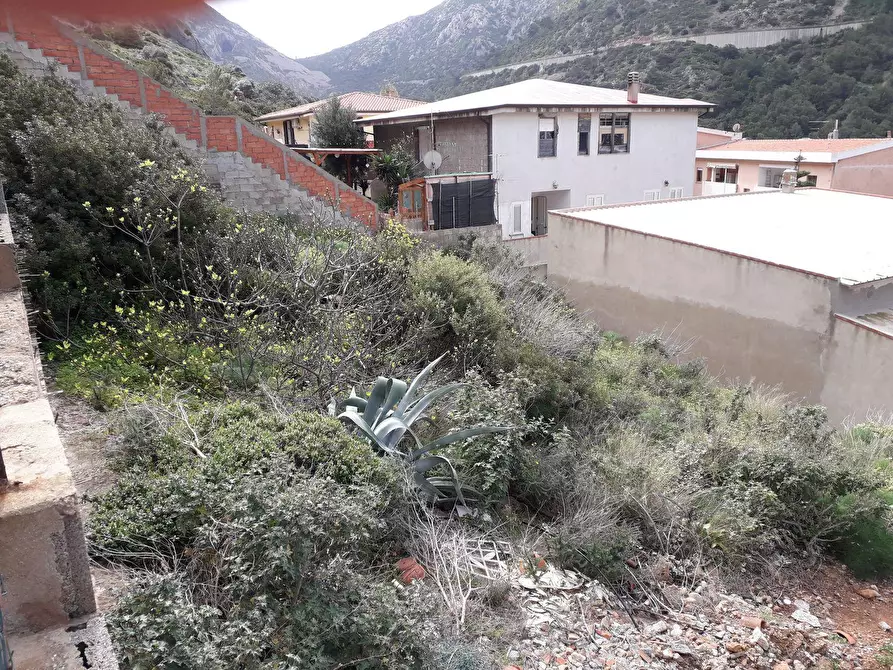 Immagine 2 di Terreno residenziale in vendita  in Monte Rosmarino 0 a Buggerru