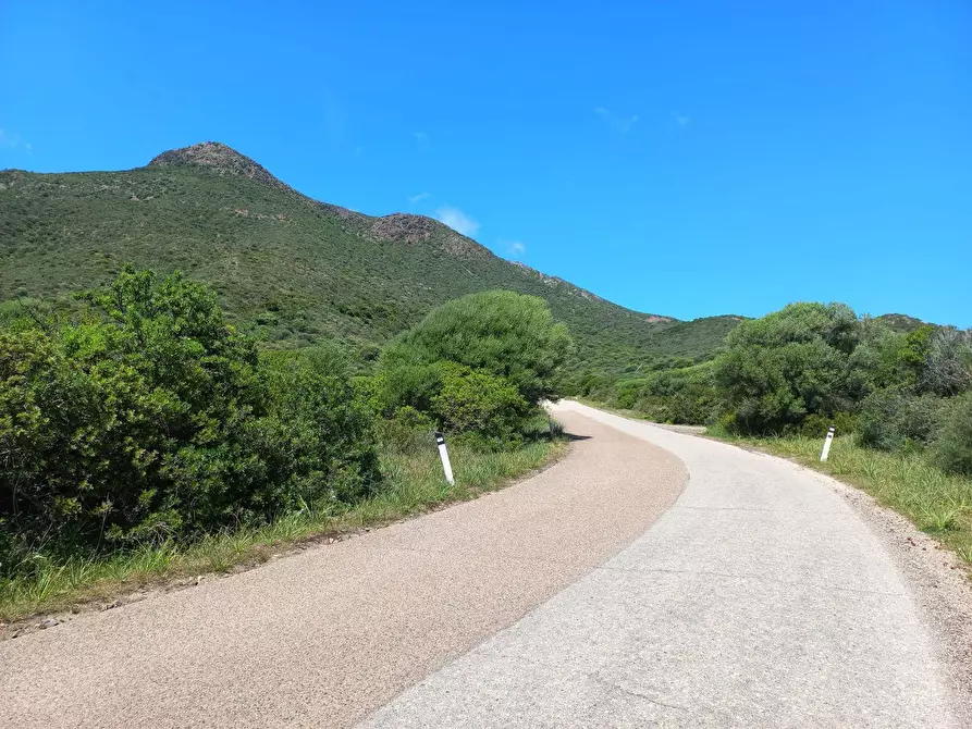 Immagine 2 di Terreno agricolo in vendita  in Portixeddu 0 a Fluminimaggiore