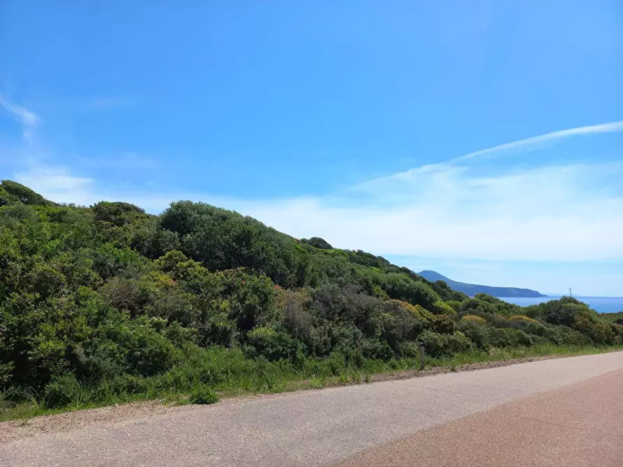 Immagine 3 di Terreno agricolo in vendita  in Portixeddu 0 a Fluminimaggiore