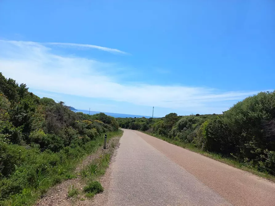 Immagine 4 di Terreno agricolo in vendita  in Portixeddu 0 a Fluminimaggiore