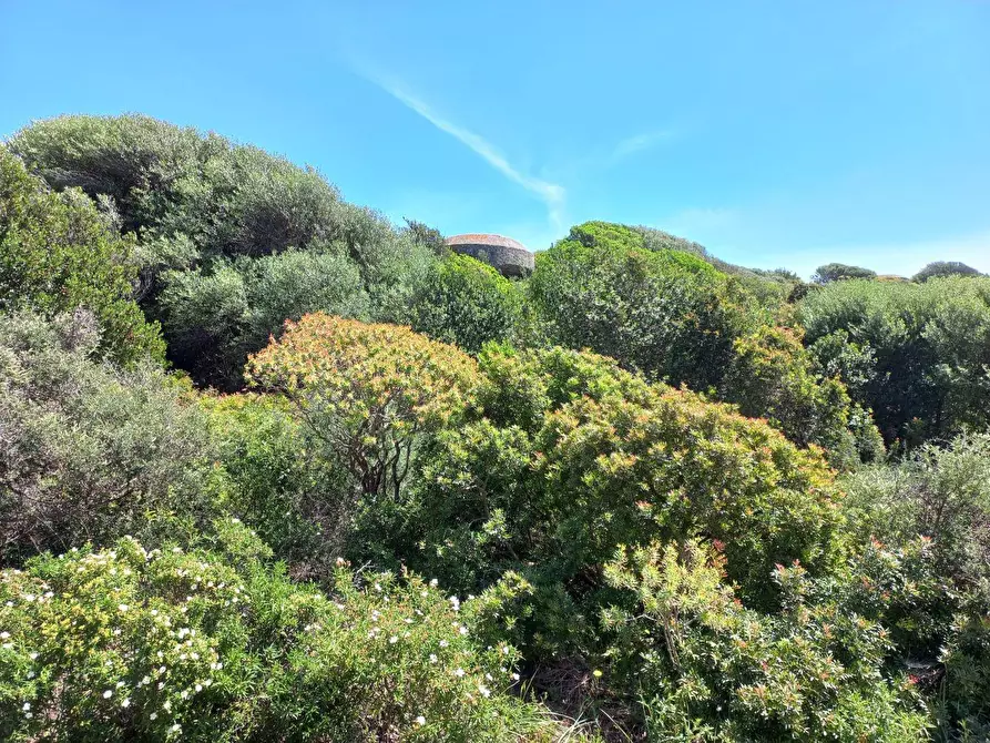 Immagine 5 di Terreno agricolo in vendita  in Portixeddu 0 a Fluminimaggiore