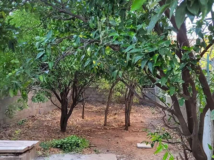 Immagine 21 di Appartamento in vendita  in VIA Tenente Cacciarru a Iglesias