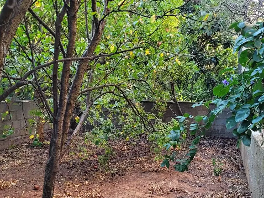 Immagine 23 di Appartamento in vendita  in VIA Tenente Cacciarru a Iglesias