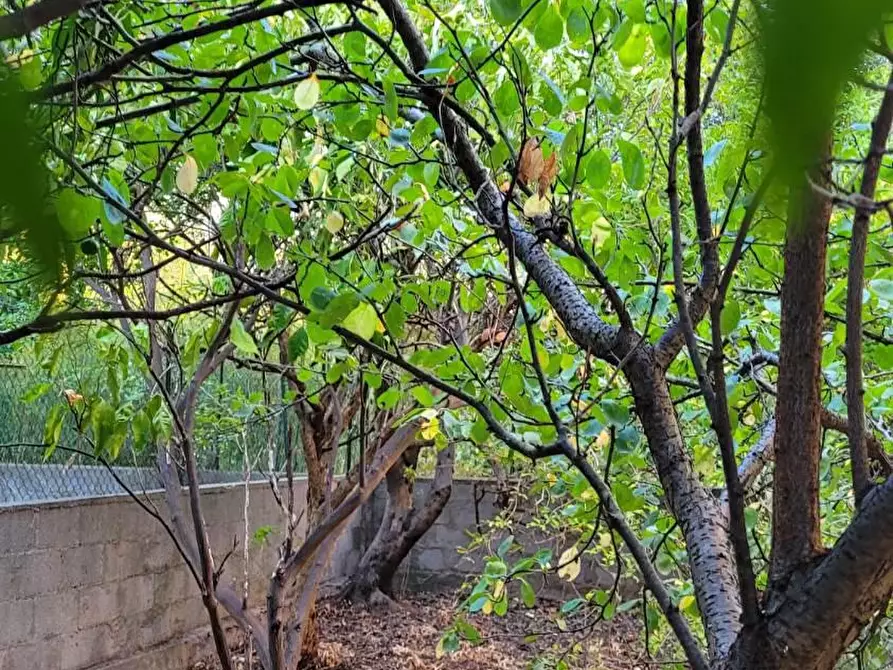 Immagine 21 di Palazzo in vendita  in VIA Tenente Cacciarru a Iglesias