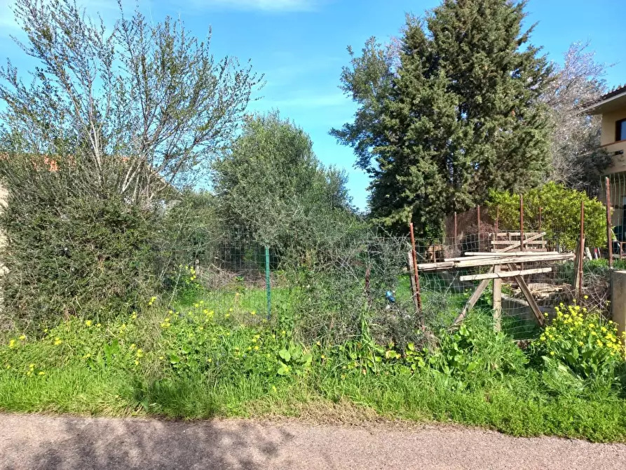Immagine 2 di Terreno residenziale in vendita  in LOCALITA'is Pusceddus a Nuxis