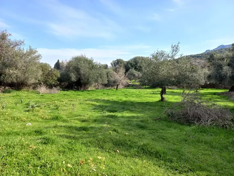 Immagine 8 di Terreno residenziale in vendita  in LOCALITA'is Pusceddus a Nuxis