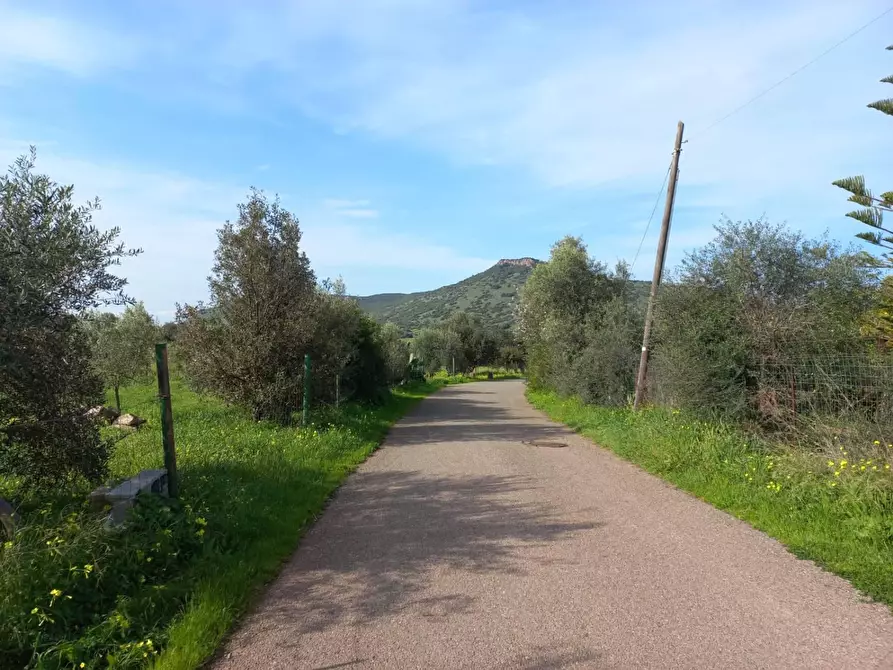 Immagine 3 di Terreno residenziale in vendita  in LOCALITA'is Pusceddus a Nuxis