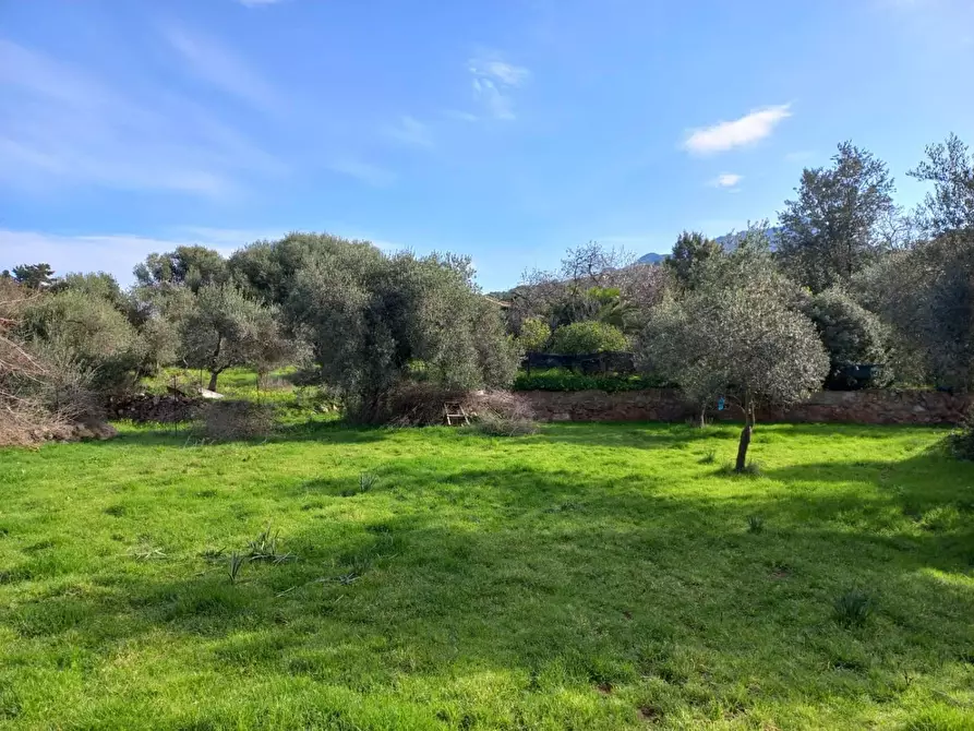 Immagine 1 di Terreno residenziale in vendita  in LOCALITA'is Pusceddus a Nuxis
