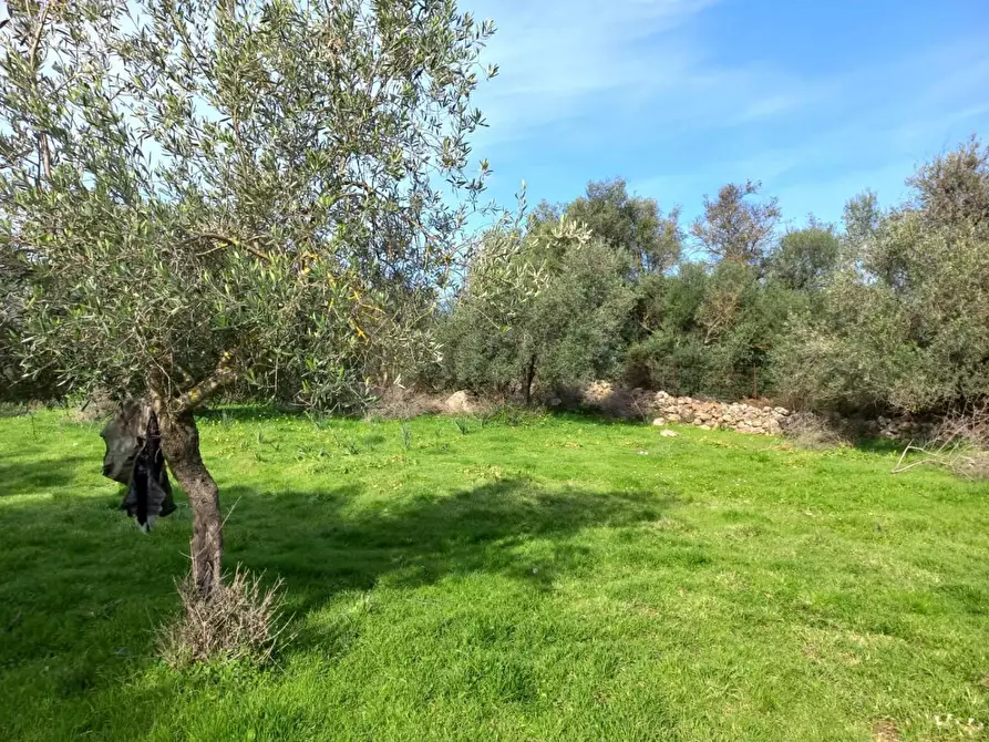 Immagine 4 di Terreno residenziale in vendita  in LOCALITA'is Pusceddus a Nuxis