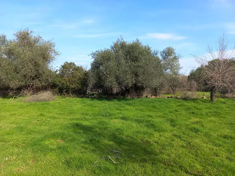 Immagine 5 di Terreno residenziale in vendita  in LOCALITA'is Pusceddus a Nuxis