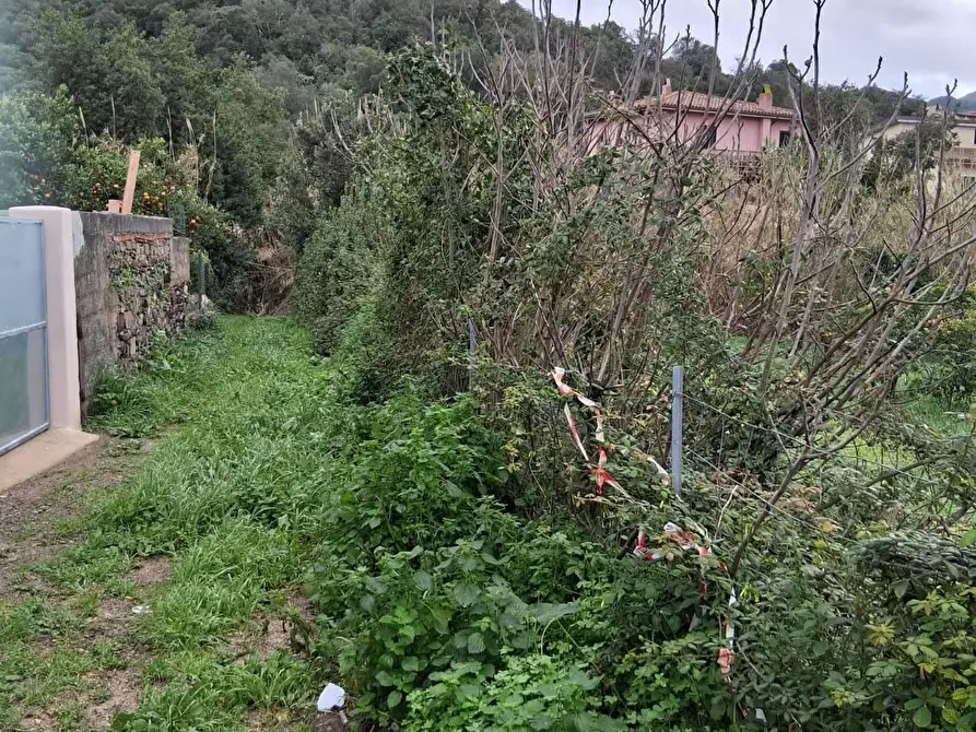 Immagine 13 di Terreno residenziale in vendita  in VIA Lussu a Fluminimaggiore