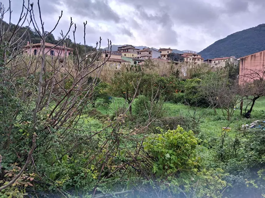 Immagine 14 di Terreno residenziale in vendita  in VIA Lussu a Fluminimaggiore